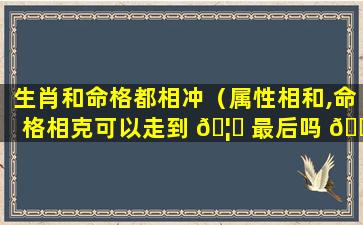 生肖和命格都相冲（属性相和,命格相克可以走到 🦁 最后吗 🐝 ）